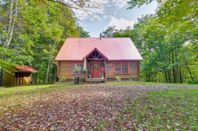 Gore Mountain Cabin Game Room and Fire Pit